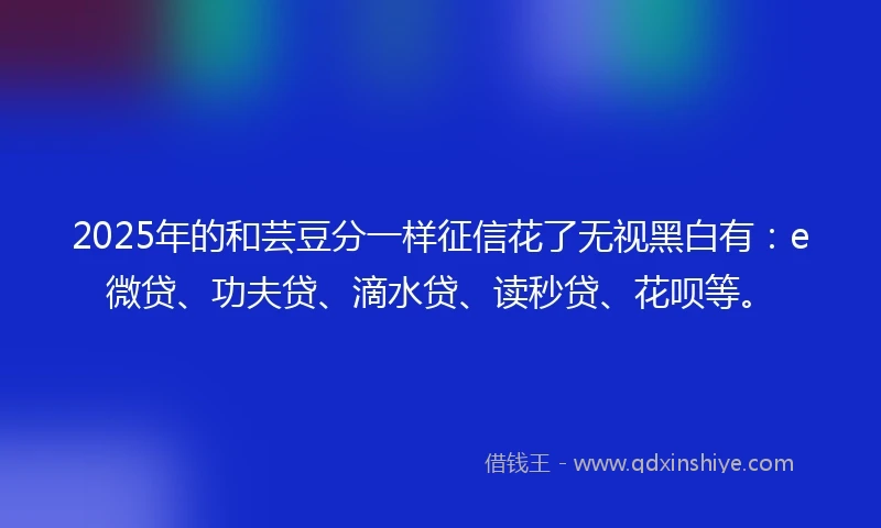 2025年的和芸豆分一样征信花了无视黑白有：e微贷、功夫贷、滴水贷、读秒贷、花呗等。