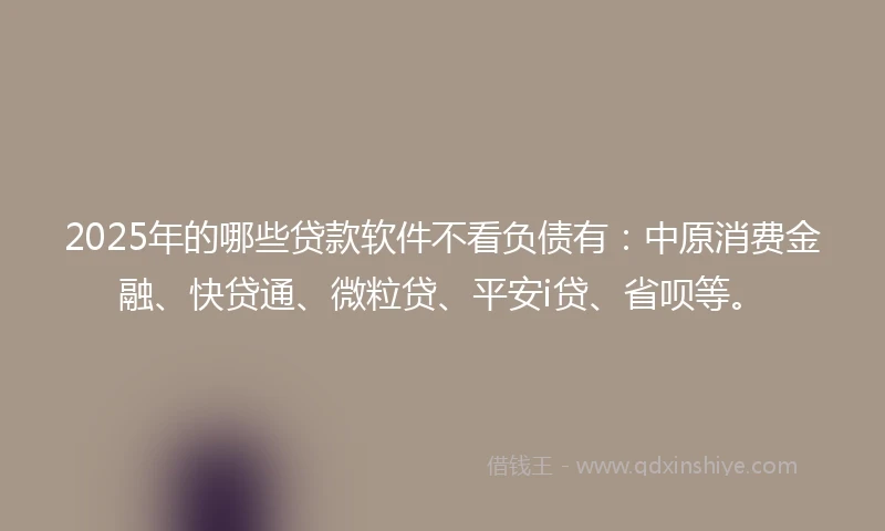 2025年的哪些贷款软件不看负债有：中原消费金融、快贷通、微粒贷、平安i贷、省呗等。