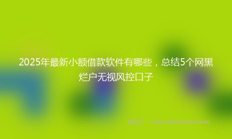 2025年最新小额借款软件有哪些，总结5个网黑烂户无视风控口子