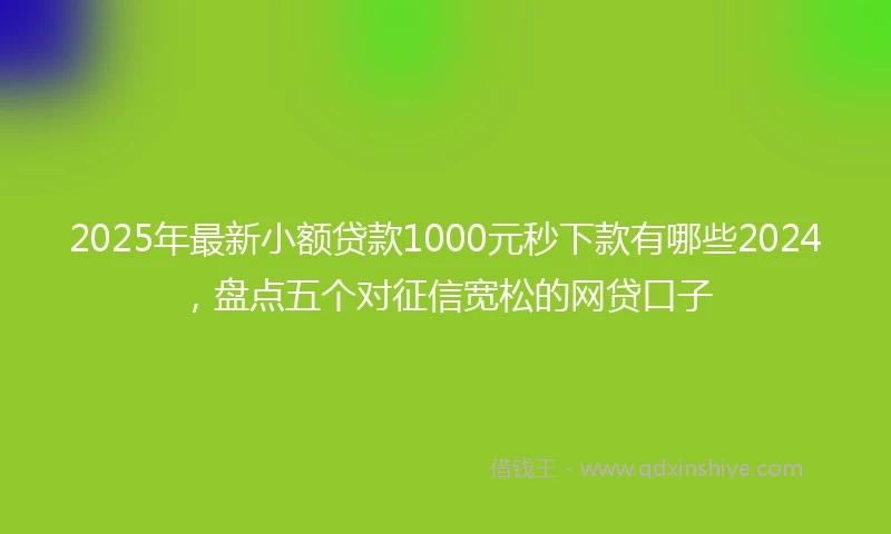 2025年最新小额贷款1000元秒下款有哪些2024，盘点五个对征信宽松的网贷口子