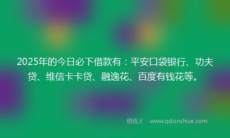 2025年的今日必下借款有：平安口袋银行、功夫贷、维信卡卡贷、融逸花、百度有钱花等。