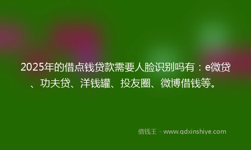 2025年的借点钱贷款需要人脸识别吗有：e微贷、功夫贷、洋钱罐、投友圈、微博借钱等。