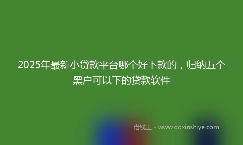 2025年最新小贷款平台哪个好下款的，归纳五个黑户可以下的贷款软件