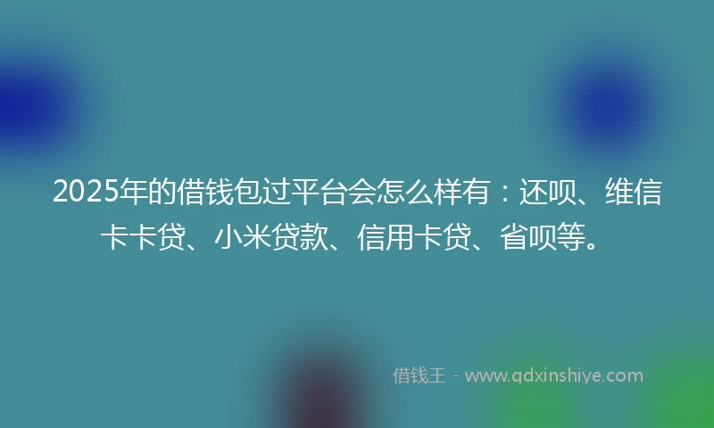 2025年的借钱包过平台会怎么样有：还呗、维信卡卡贷、小米贷款、信用卡贷、省呗等。