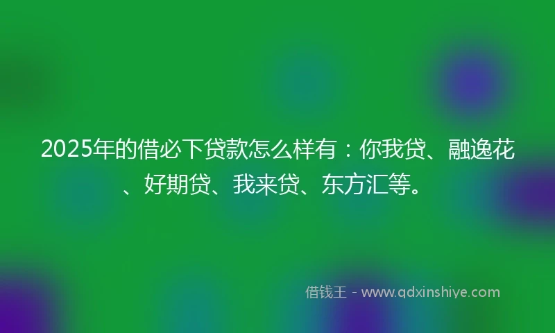 2025年的借必下贷款怎么样有：你我贷、融逸花、好期贷、我来贷、东方汇等。
