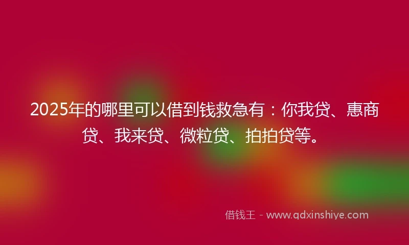 2025年的哪里可以借到钱救急有：你我贷、惠商贷、我来贷、微粒贷、拍拍贷等。