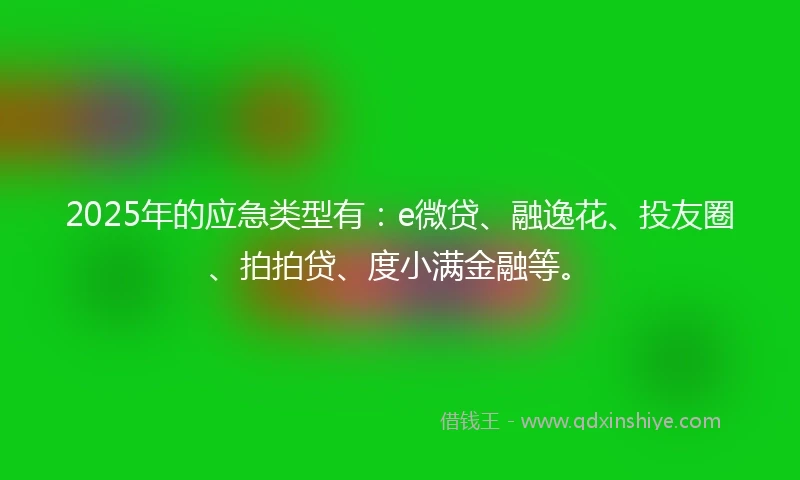2025年的应急类型有：e微贷、融逸花、投友圈、拍拍贷、度小满金融等。
