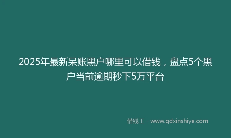 2025年最新呆账黑户哪里可以借钱，盘点5个黑户当前逾期秒下5万平台