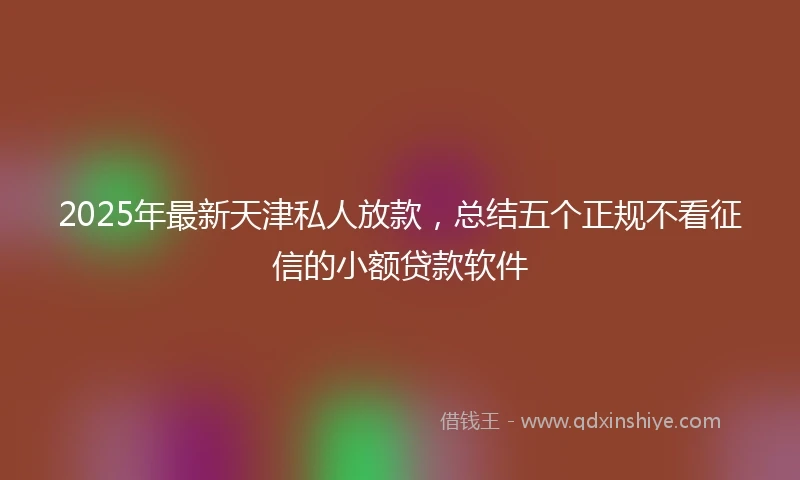 2025年最新天津私人放款，总结五个正规不看征信的小额贷款软件