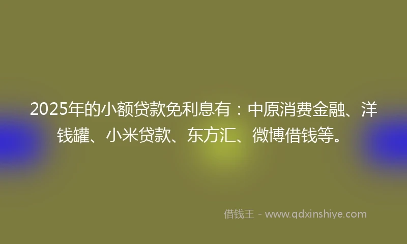 2025年的小额贷款免利息有：中原消费金融、洋钱罐、小米贷款、东方汇、微博借钱等。