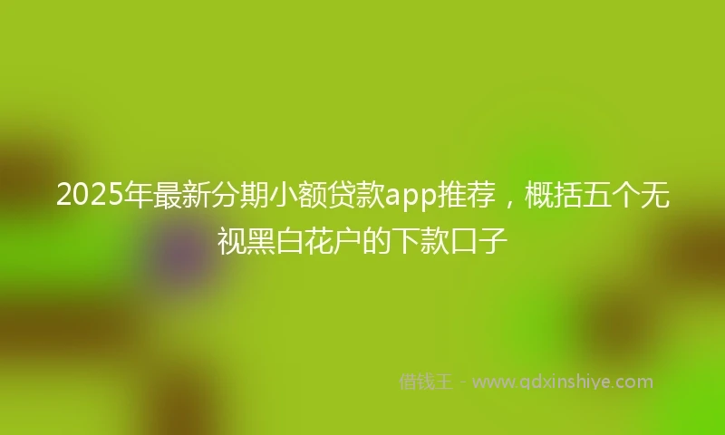 2025年最新分期小额贷款app推荐，概括五个无视黑白花户的下款口子