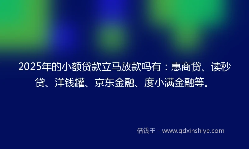 2025年的小额贷款立马放款吗有：惠商贷、读秒贷、洋钱罐、京东金融、度小满金融等。