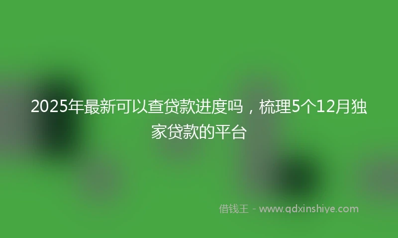 2025年最新可以查贷款进度吗，梳理5个12月独家贷款的平台