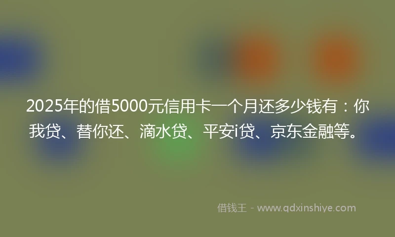 2025年的借5000元信用卡一个月还多少钱有：你我贷、替你还、滴水贷、平安i贷、京东金融等。