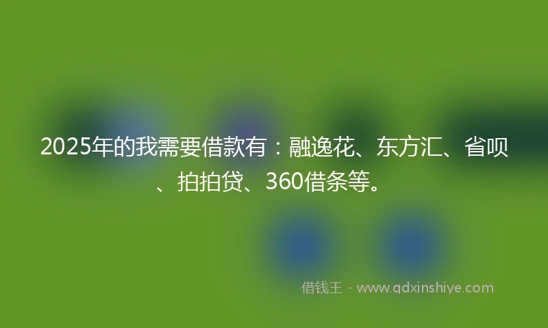 2025年的我需要借款有：融逸花、东方汇、省呗、拍拍贷、360借条等。