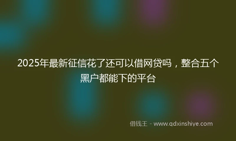 2025年最新征信花了还可以借网贷吗，整合五个黑户都能下的平台