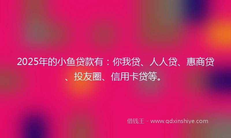 2025年的小鱼贷款有：你我贷、人人贷、惠商贷、投友圈、信用卡贷等。