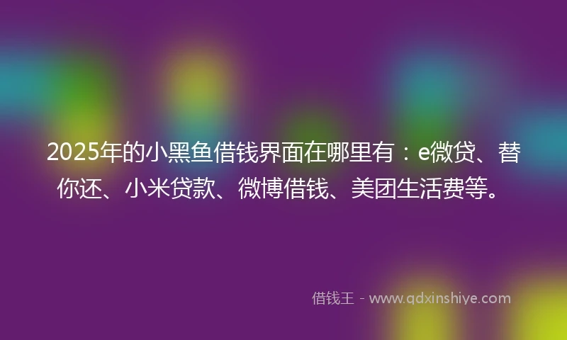 2025年的小黑鱼借钱界面在哪里有：e微贷、替你还、小米贷款、微博借钱、美团生活费等。