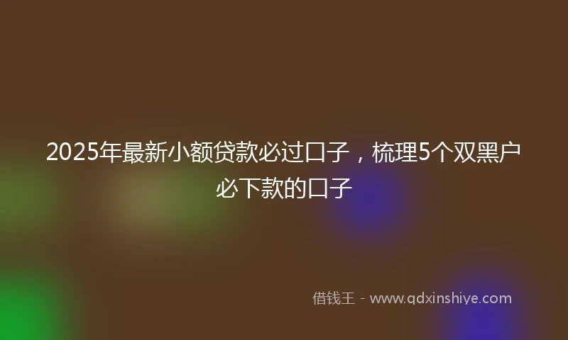 2025年最新小额贷款必过口子，梳理5个双黑户必下款的口子