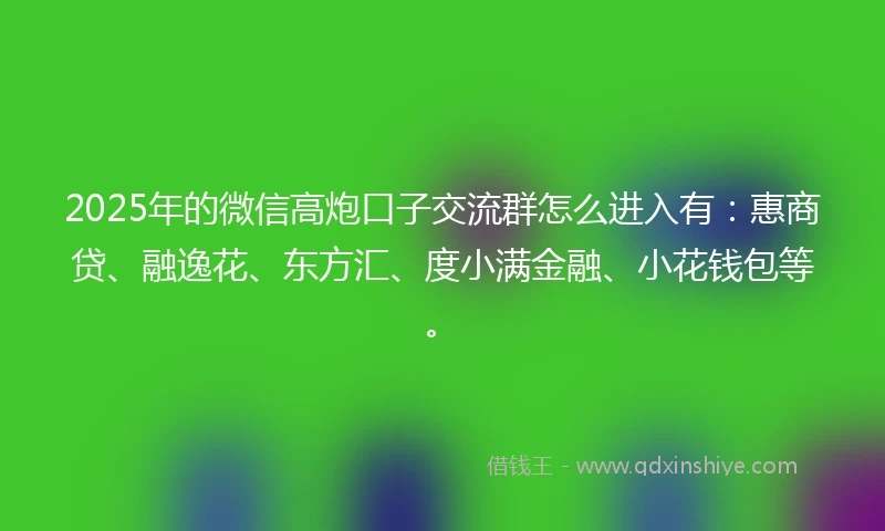 2025年的微信高炮口子交流群怎么进入有：惠商贷、融逸花、东方汇、度小满金融、小花钱包等。