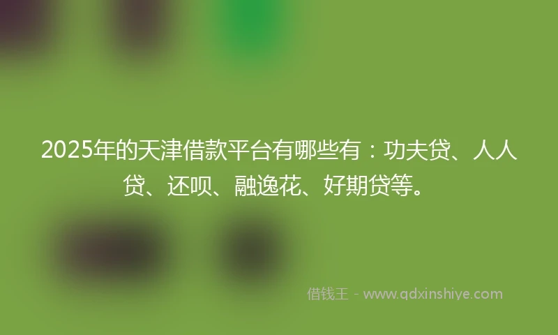 2025年的天津借款平台有哪些有：功夫贷、人人贷、还呗、融逸花、好期贷等。