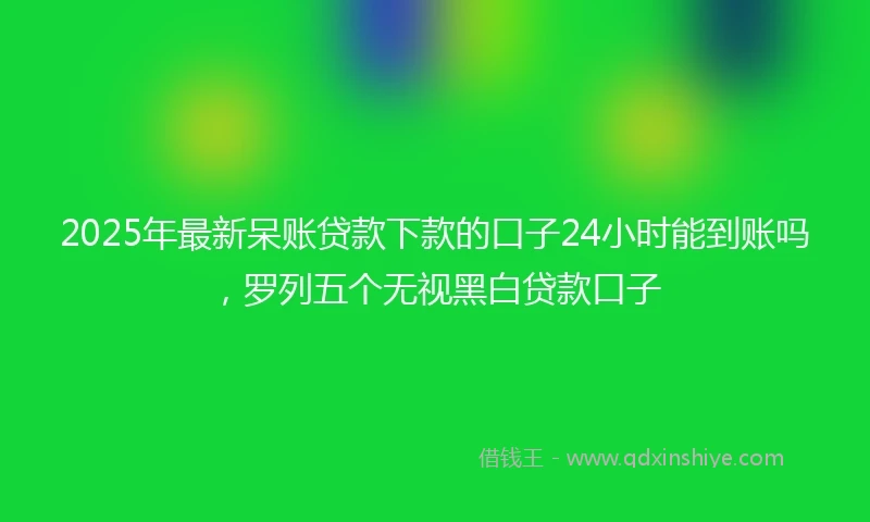 2025年最新呆账贷款下款的口子24小时能到账吗，罗列五个无视黑白贷款口子