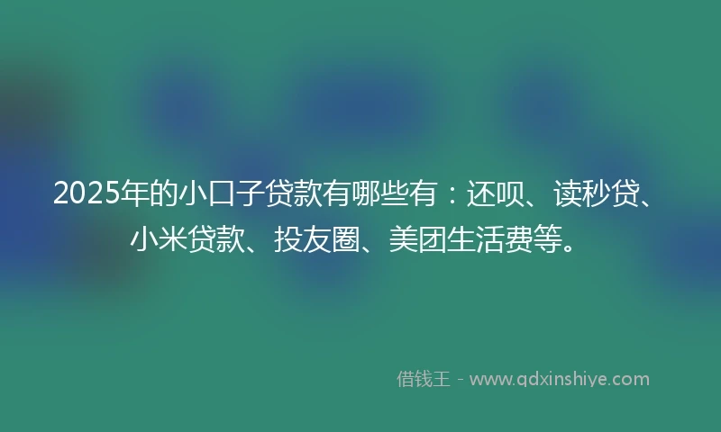 2025年的小口子贷款有哪些有：还呗、读秒贷、小米贷款、投友圈、美团生活费等。