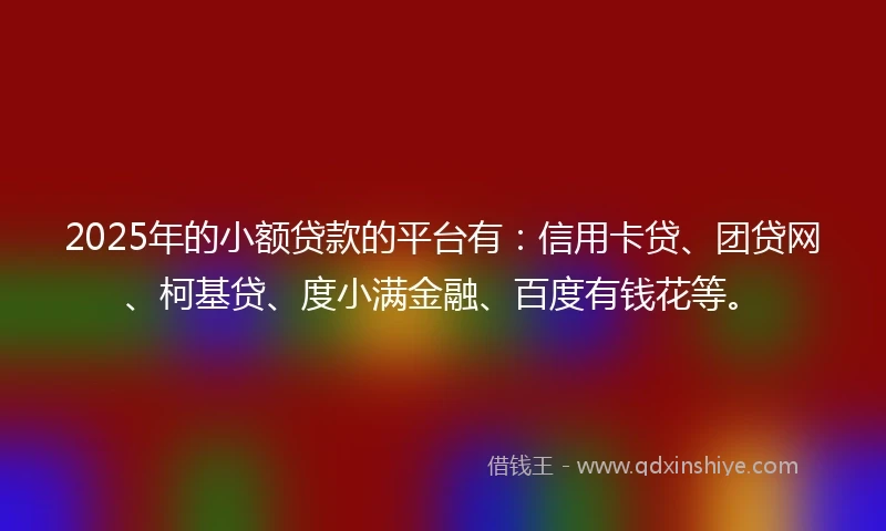 2025年的小额贷款的平台有：信用卡贷、团贷网、柯基贷、度小满金融、百度有钱花等。
