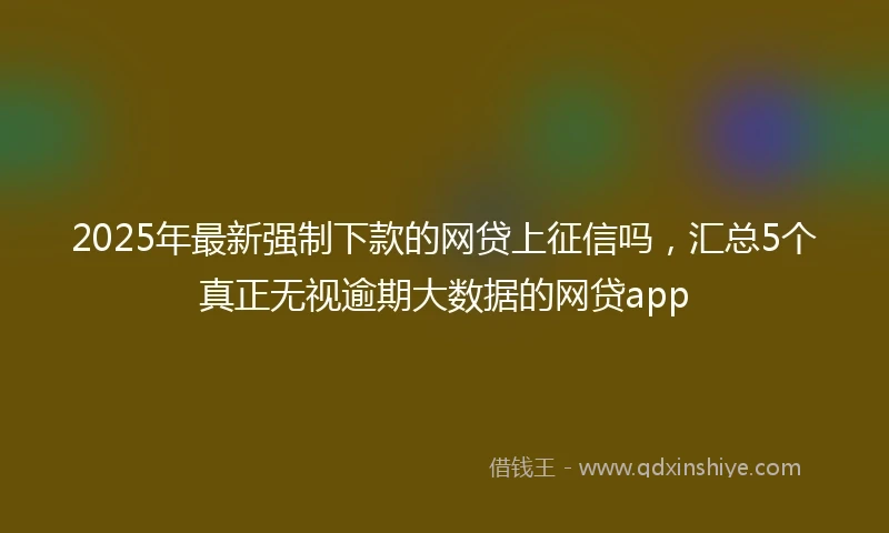 2025年最新强制下款的网贷上征信吗，汇总5个真正无视逾期大数据的网贷app