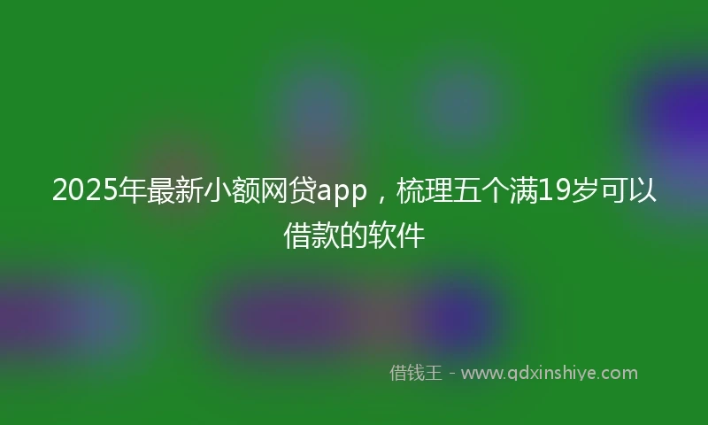 2025年最新小额网贷app，梳理五个满19岁可以借款的软件