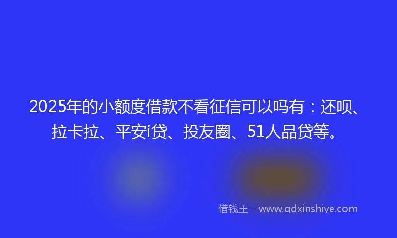 2025年的小额度借款不看征信可以吗有：还呗、拉卡拉、平安i贷、投友圈、51人品贷等。