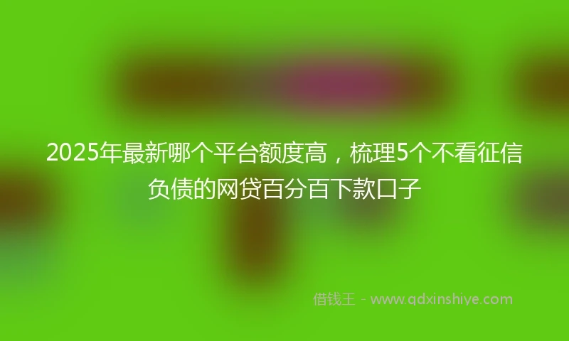 2025年最新哪个平台额度高，梳理5个不看征信负债的网贷百分百下款口子