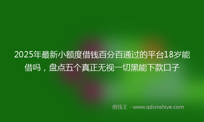 2025年最新小额度借钱百分百通过的平台18岁能借吗，盘点五个真正无视一切黑能下款口子