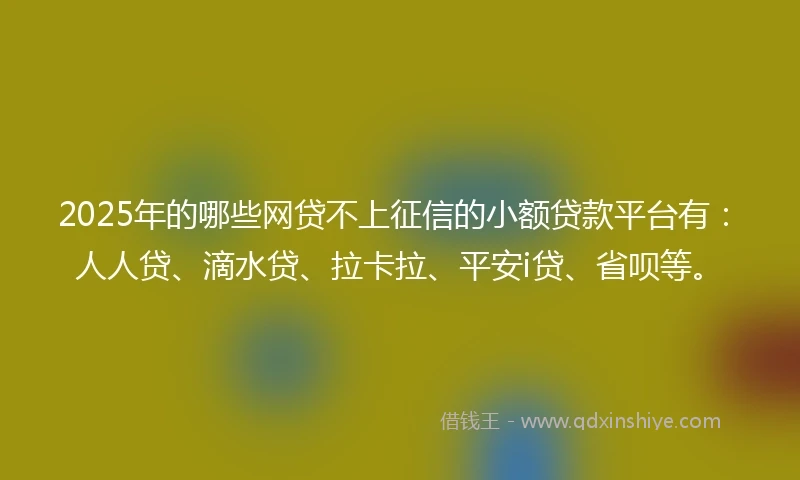 2025年的哪些网贷不上征信的小额贷款平台有：人人贷、滴水贷、拉卡拉、平安i贷、省呗等。