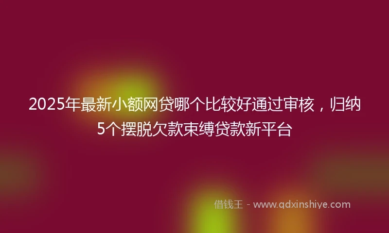 2025年最新小额网贷哪个比较好通过审核，归纳5个摆脱欠款束缚贷款新平台