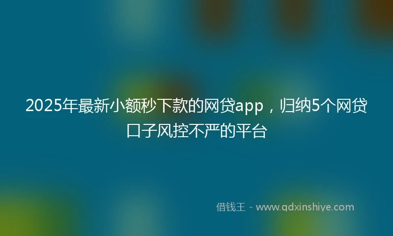 2025年最新小额秒下款的网贷app，归纳5个网贷口子风控不严的平台