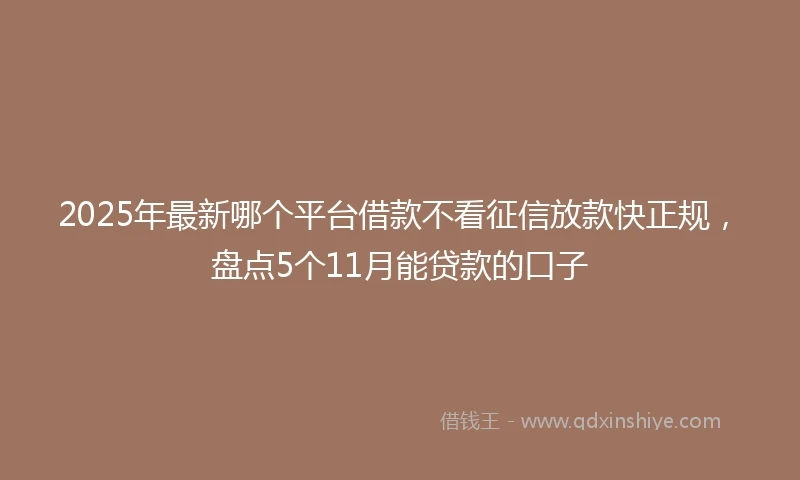 2025年最新哪个平台借款不看征信放款快正规，盘点5个11月能贷款的口子