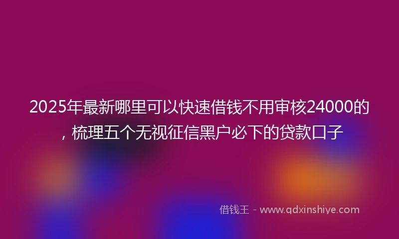 2025年最新哪里可以快速借钱不用审核24000的，梳理五个无视征信黑户必下的贷款口子