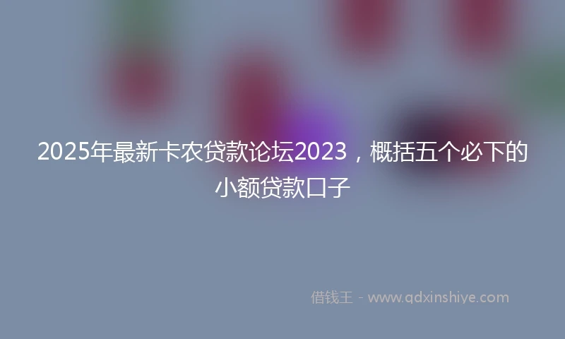 2025年最新卡农贷款论坛2023，概括五个必下的小额贷款口子