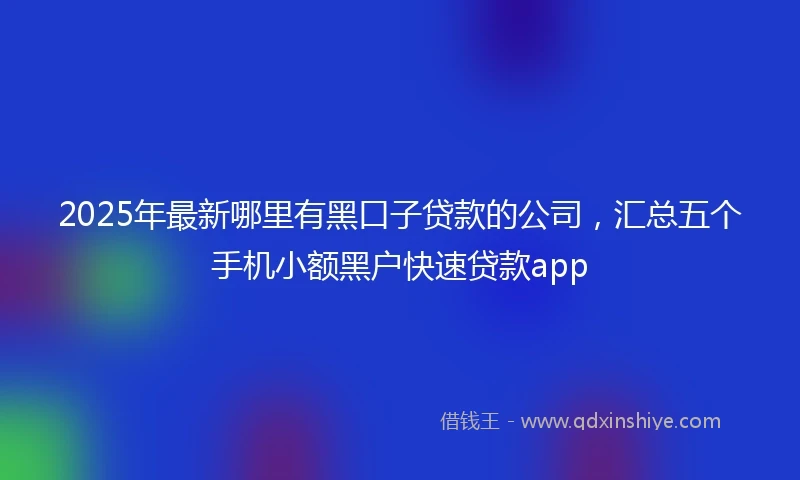 2025年最新哪里有黑口子贷款的公司，汇总五个手机小额黑户快速贷款app