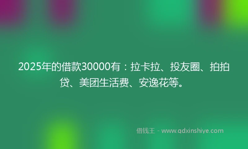 2025年的借款30000有：拉卡拉、投友圈、拍拍贷、美团生活费、安逸花等。