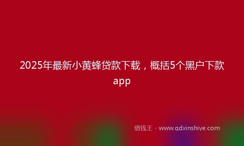 2025年最新小黄蜂贷款下载，概括5个黑户下款app