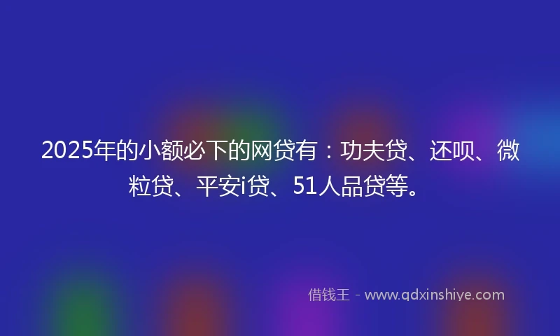 2025年的小额必下的网贷有：功夫贷、还呗、微粒贷、平安i贷、51人品贷等。