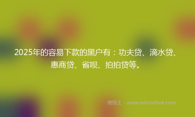 2025年的容易下款的黑户有：功夫贷、滴水贷、惠商贷、省呗、拍拍贷等。