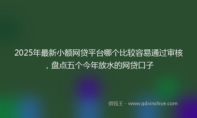 2025年最新小额网贷平台哪个比较容易通过审核，盘点五个今年放水的网贷口子