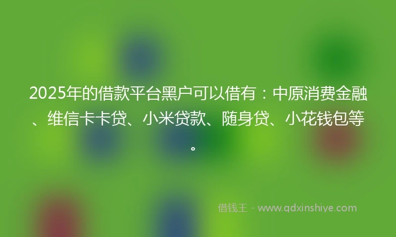2025年的借款平台黑户可以借有：中原消费金融、维信卡卡贷、小米贷款、随身贷、小花钱包等。