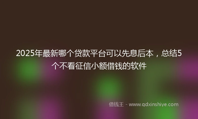 2025年最新哪个贷款平台可以先息后本，总结5个不看征信小额借钱的软件