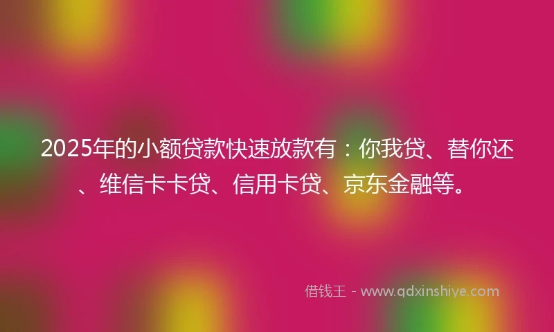 2025年的小额贷款快速放款有：你我贷、替你还、维信卡卡贷、信用卡贷、京东金融等。