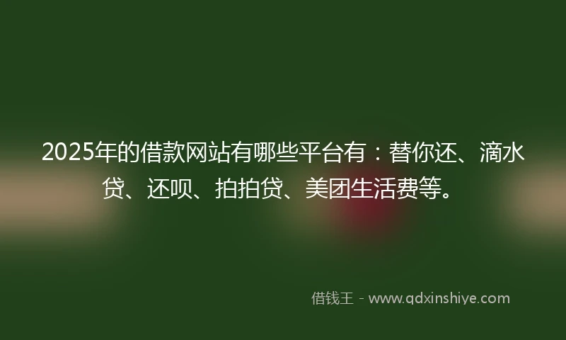 2025年的借款网站有哪些平台有：替你还、滴水贷、还呗、拍拍贷、美团生活费等。