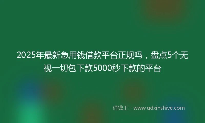 2025年最新急用钱借款平台正规吗，盘点5个无视一切包下款5000秒下款的平台